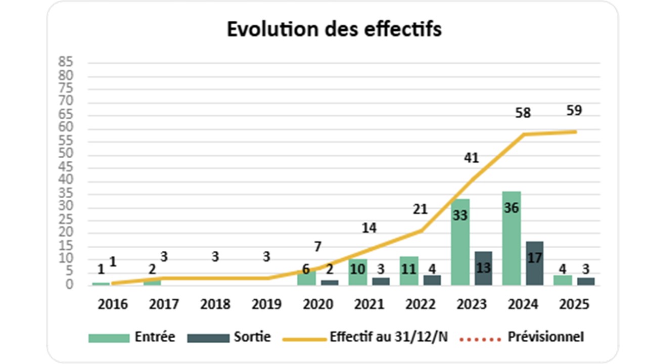 Évolution des effectifs FER-PLAY à mars 2025